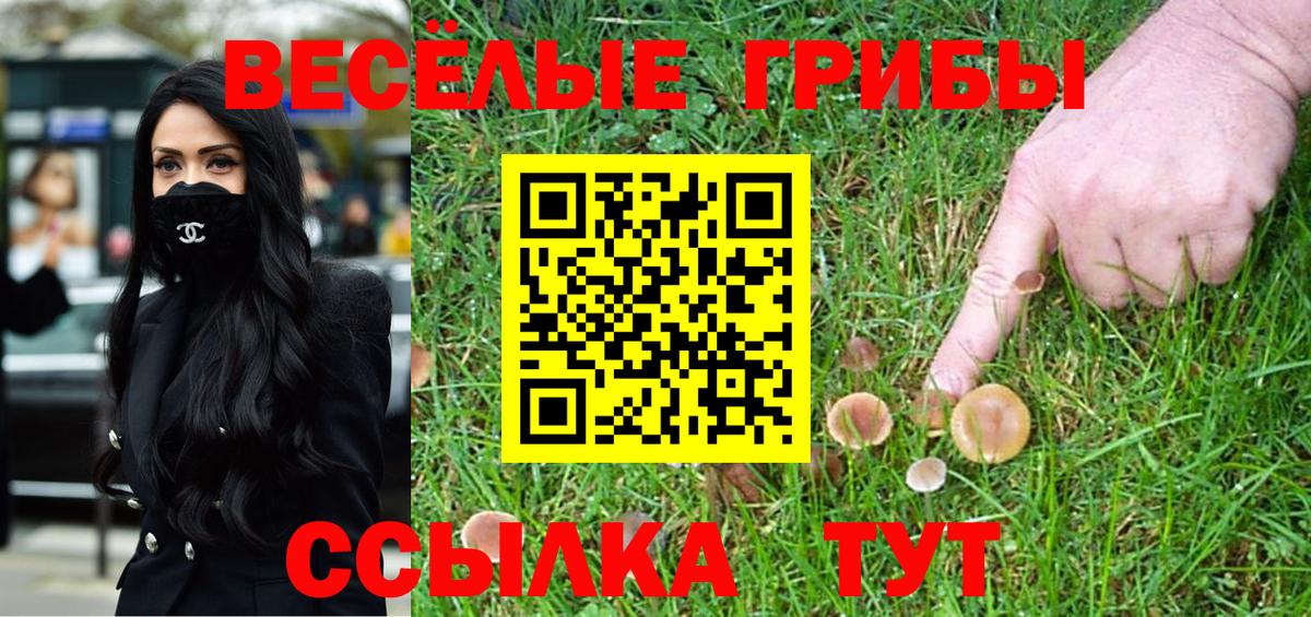 Псилоцибиновые грибы мухоморы Знаменск