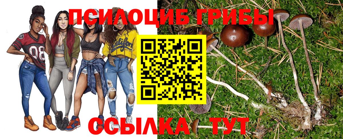 Галлюциногенные грибы Cubensis  Вход с VPN  Знаменск  Галлюциногенные грибы Cubensis 