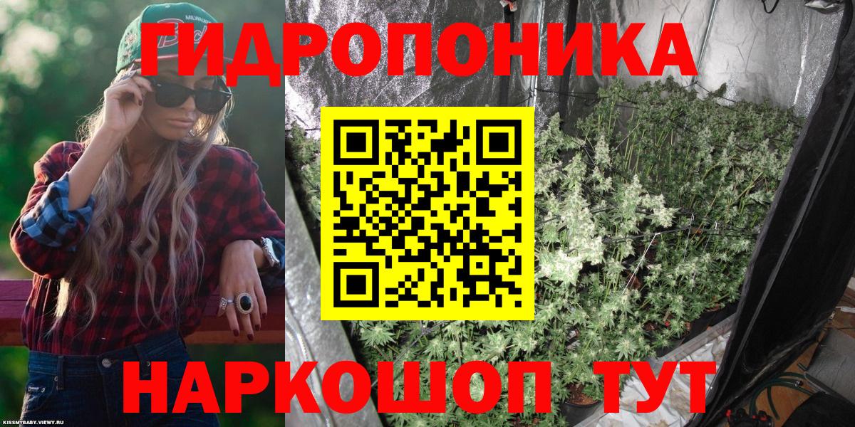 Бошки Шишки марихуана  Вход с VPN  Марихуана VHQ  Шишки марихуана White Widow  Знаменск 
